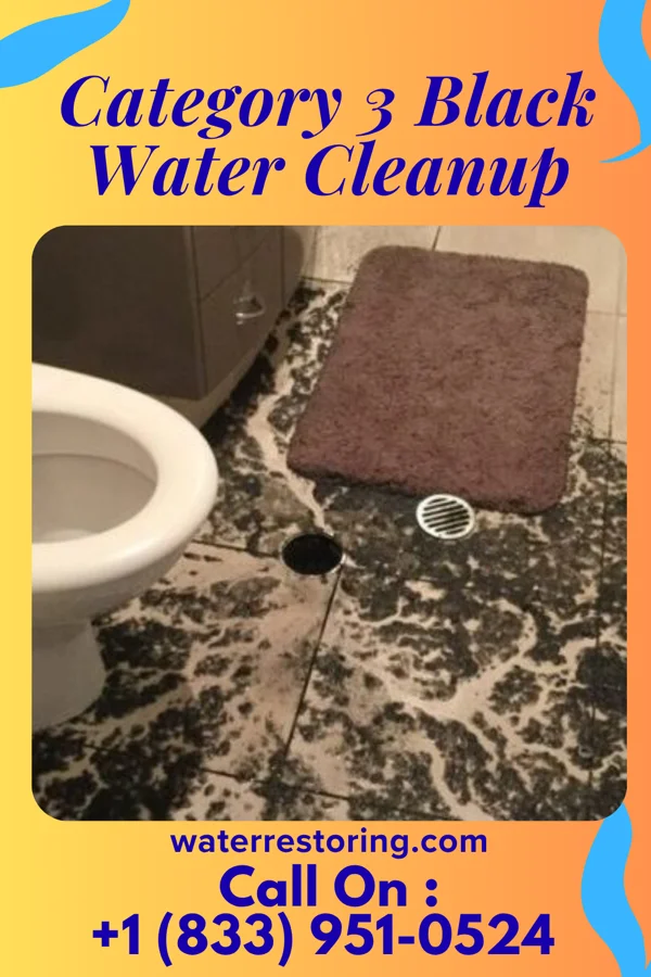 Category 3 Black Water Cleanup in Herrings, NY