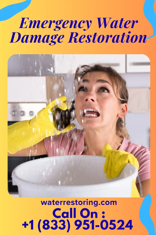 Emergency Water Damage Restoration in Herrings, NY