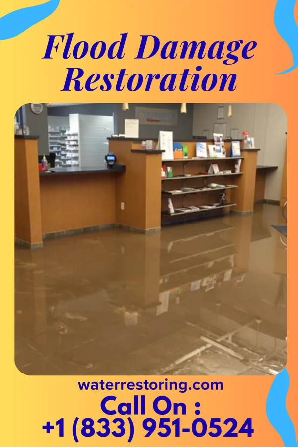 Flood Damage Restoration in Herrings, NY