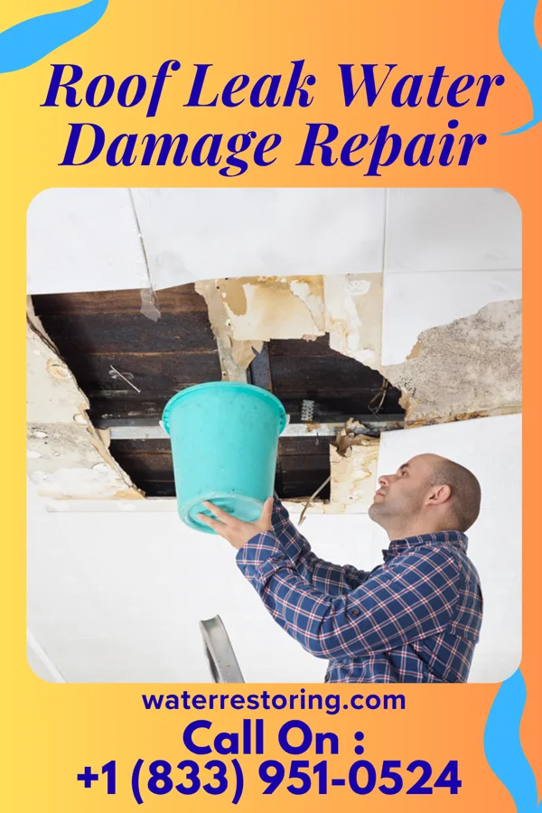 Roof Leak Water Damage Repair in Herrings, NY