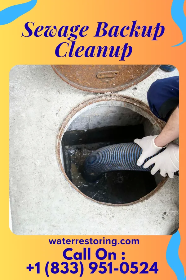 Sewage Backup Cleanup in Herrings, NY