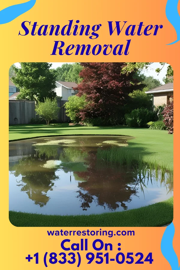 Standing Water Removal in Herrings, NY